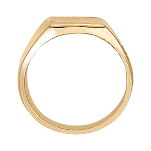 Mens Fashion Signet Ring in Multiple Gold Options